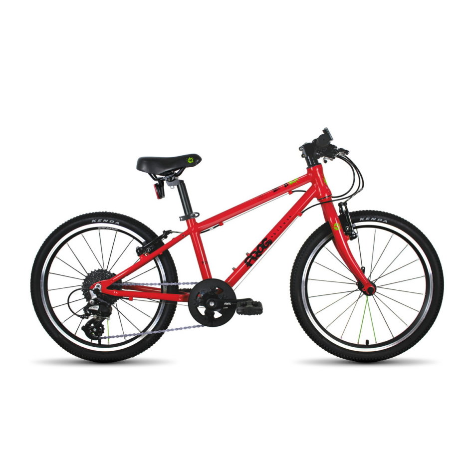 frog bike for 10 year old